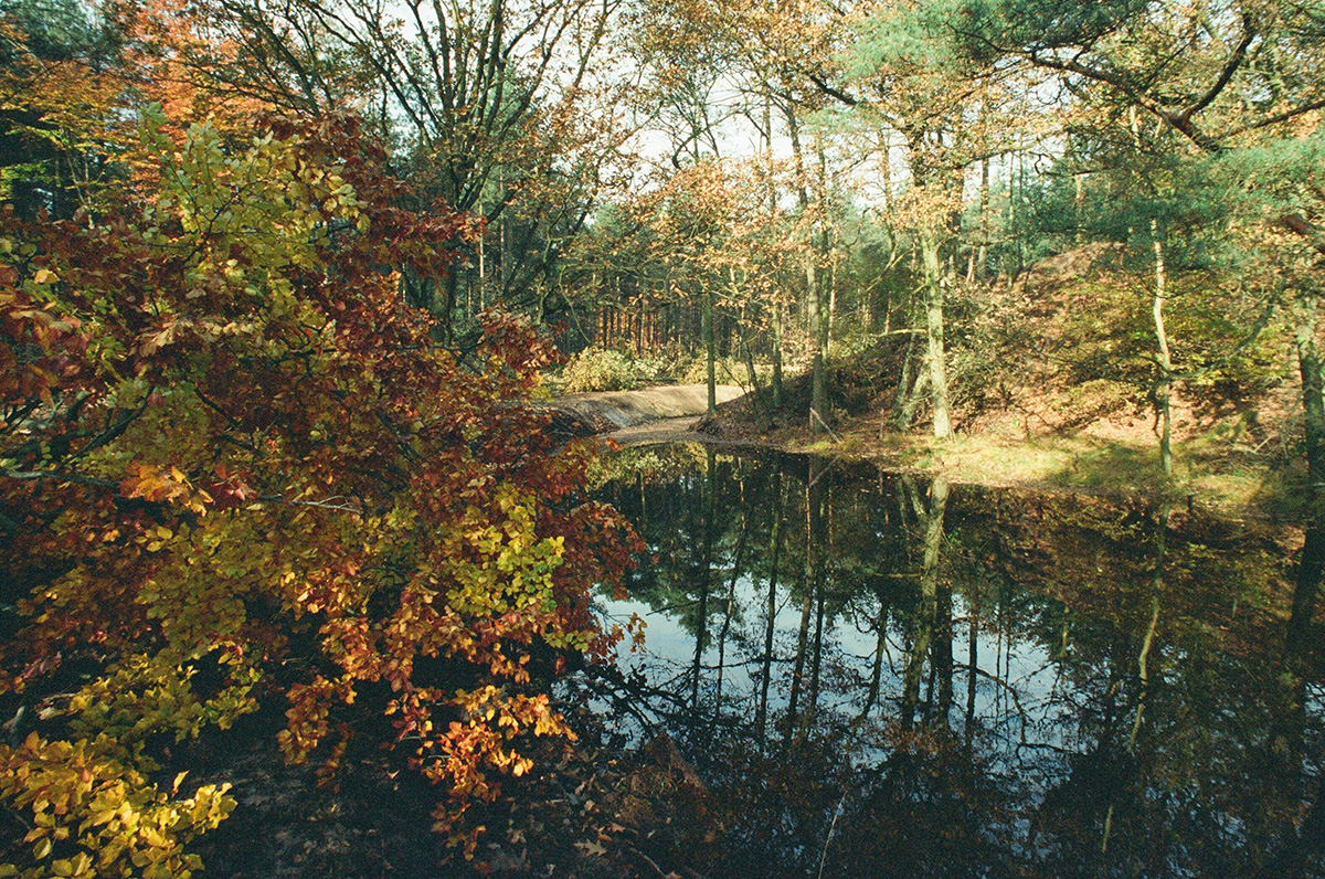 Het Mastbos in de herfst van 1993.